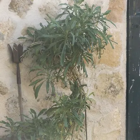 度假居 La Fragua De Alvaro