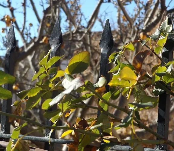 La Fragua De Los Alvaro 펜션 *