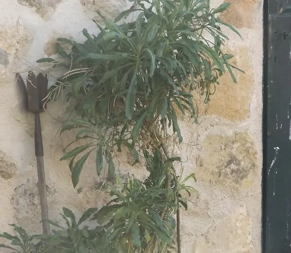 펜션 La Fragua De Los Alvaro